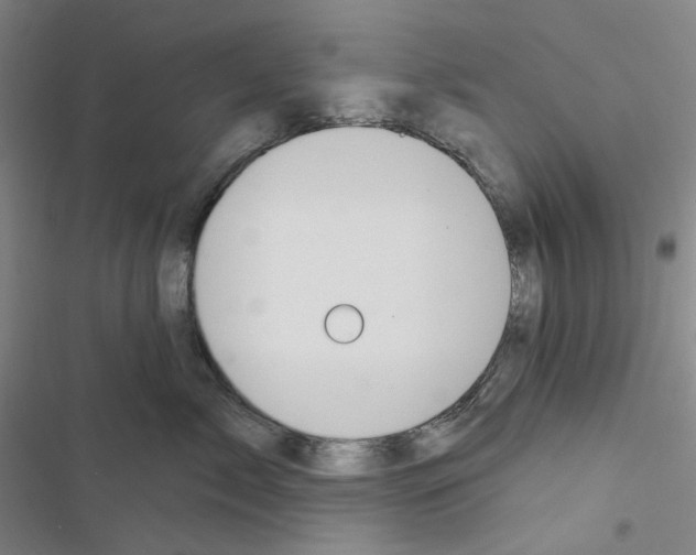 X0000116650717201001251157