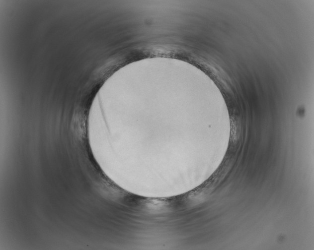 X0000116650718201001251157