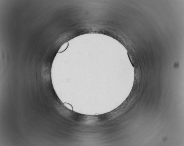 X0000116650719201001251157