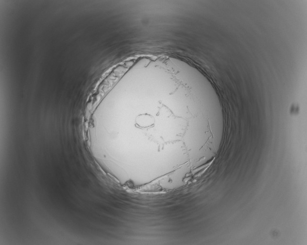 X0000116650720201001251157