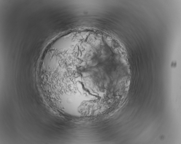 X0000116650721201001251156