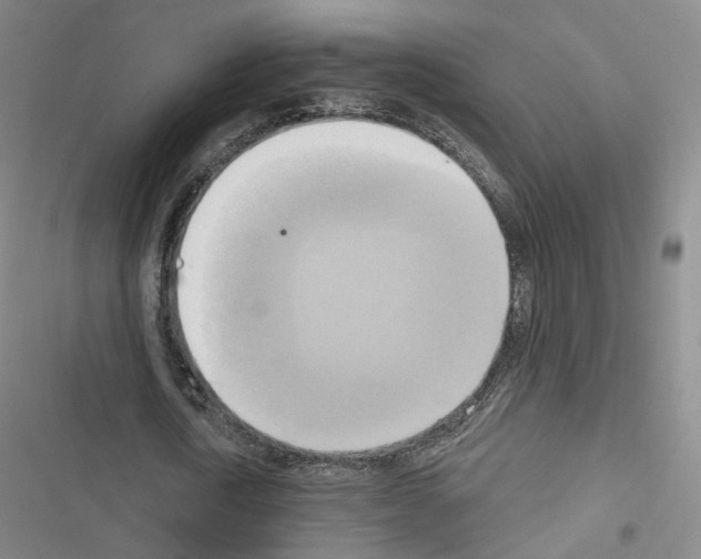 X0000116650722201001251156