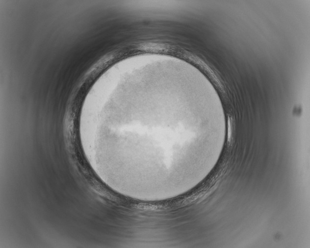 X0000116650723201001251156