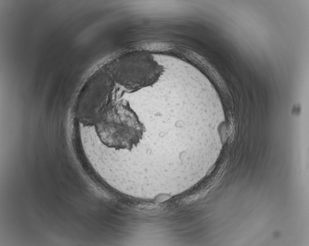 X0000116650725201001251156