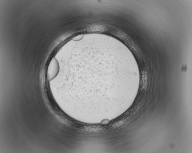 X0000116650726201001251156
