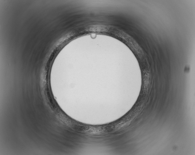 X0000116650727201001251156