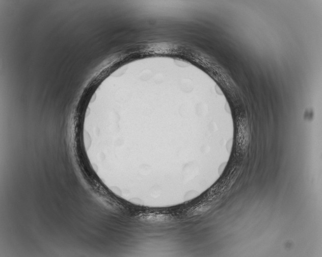 X0000116650730201001251156