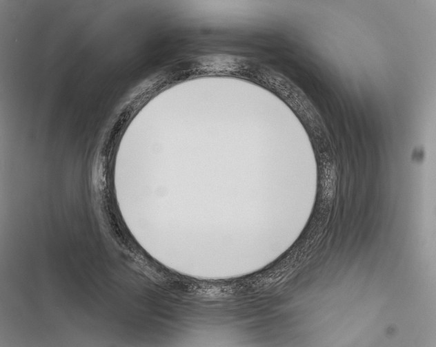 X0000116650731201001251156