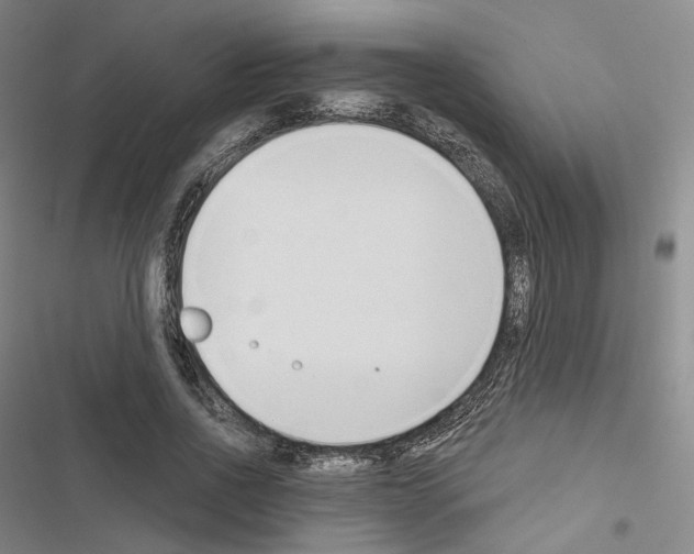 X0000116650734201001251156