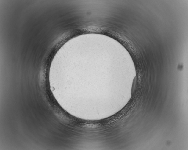 X0000116650735201001251156