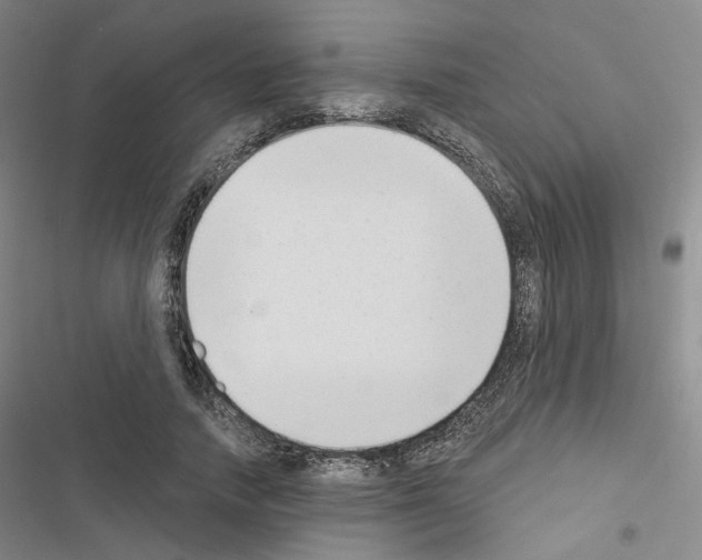 X0000116650738201001251156