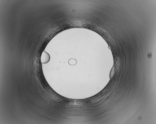X0000116650739201001251156