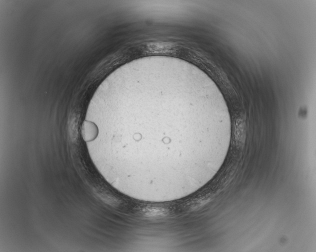 X0000116650741201001251156