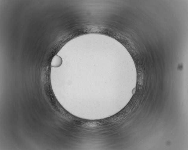 X0000116650743201001251156