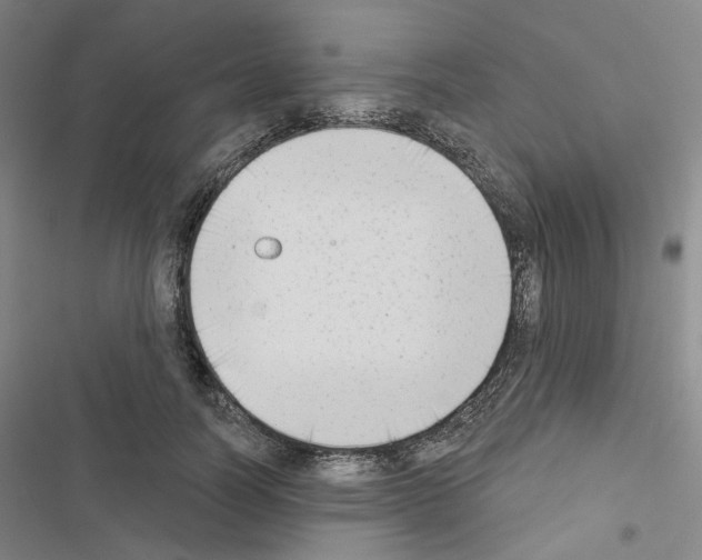 X0000116650746201001251156