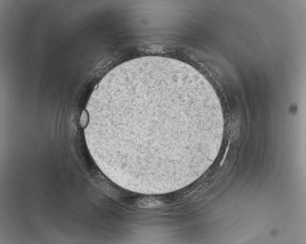 X0000116650747201001251156