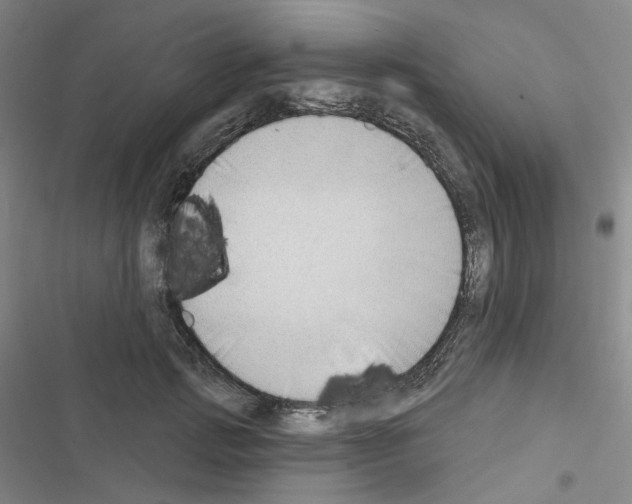 X0000116650749201001251156