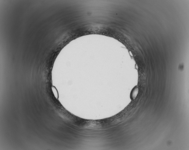 X0000116650750201001251156