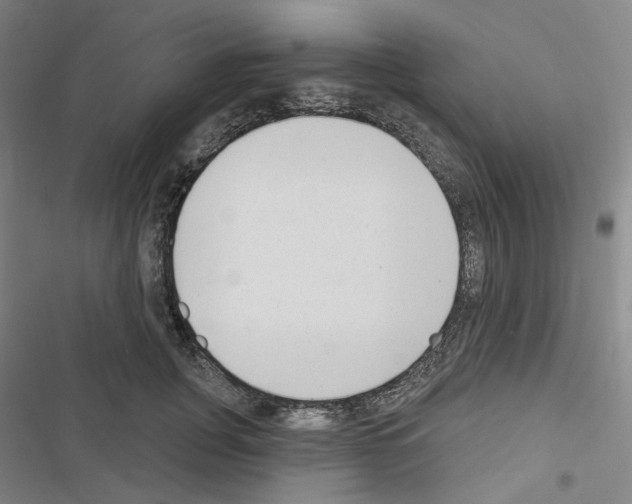 X0000116650751201001251156
