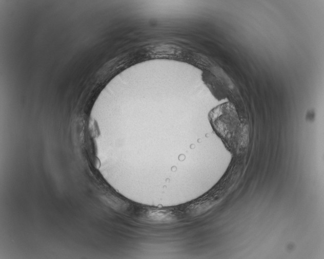 X0000116650753201001251156