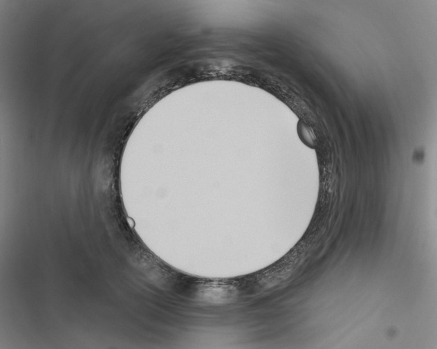 X0000116650754201001251156
