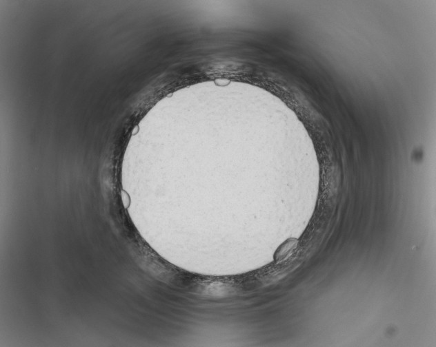 X0000116650755201001251156