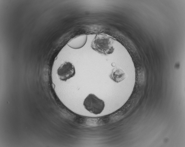 X0000116650757201001251156