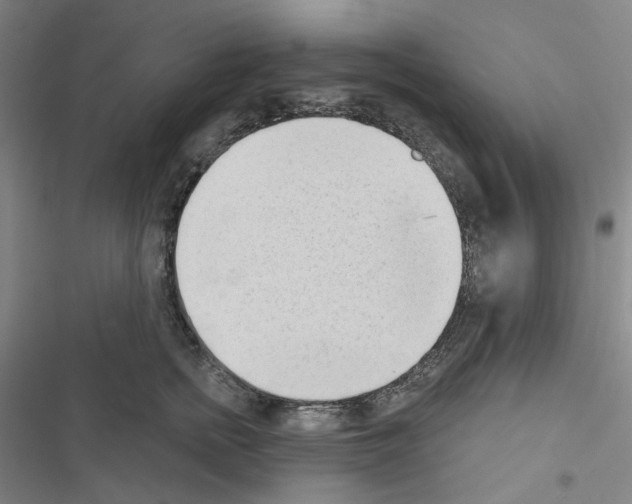 X0000116650758201001251157