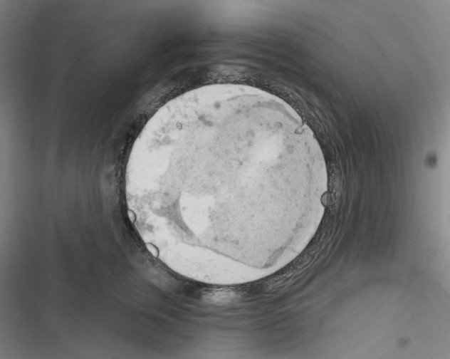 X0000116650759201001251157