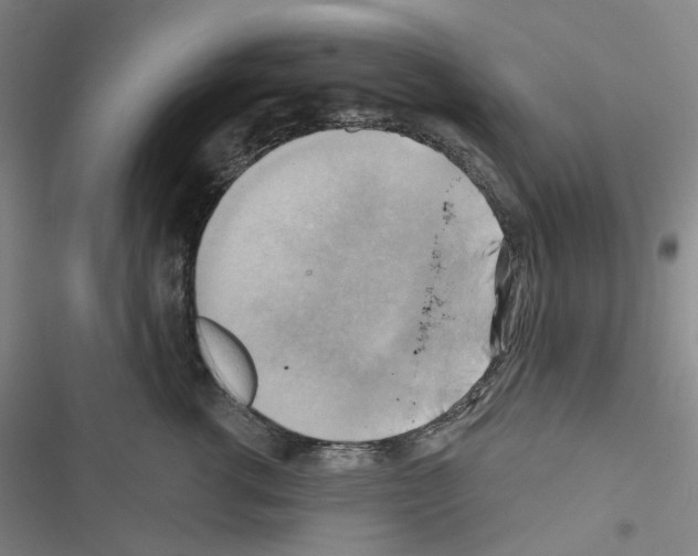 X0000116650762201001251157