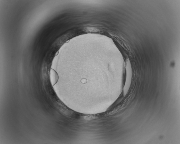 X0000116650763201001251157