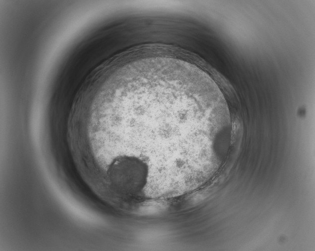 X0000116650765201001251157