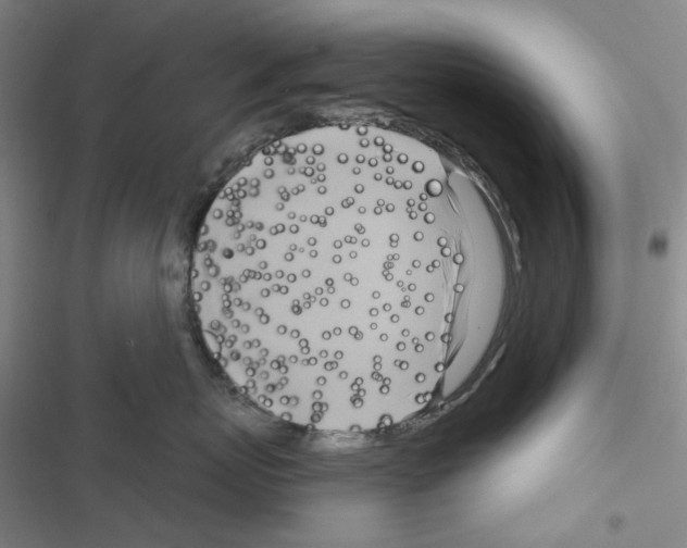 X0000116650767201001251157