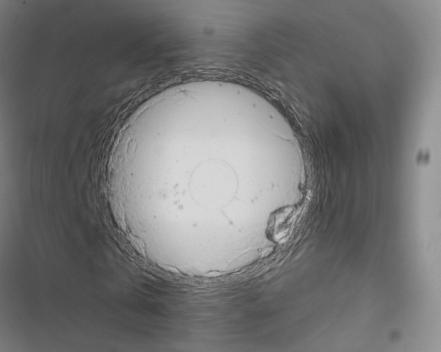 X0000116650769201001251156