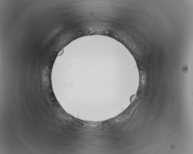 X0000116650771201001251156