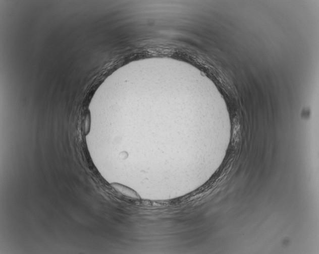 X0000116650772201001251156