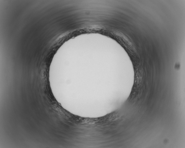 X0000116650773201001251156