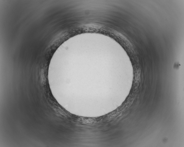 X0000116650774201001251156