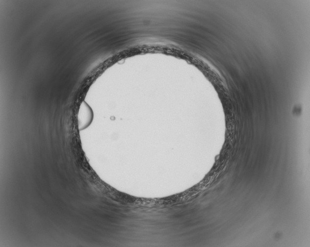 X0000116650775201001251156