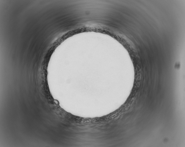 X0000116650776201001251156