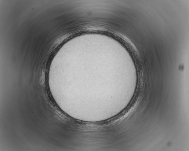 X0000116650777201001251156