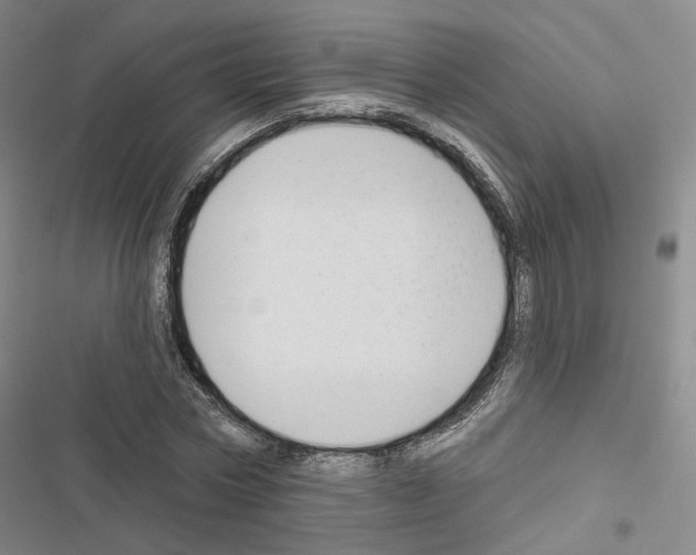 X0000116650778201001251156
