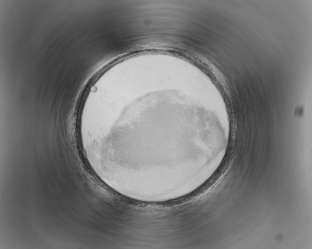 X0000116650779201001251156