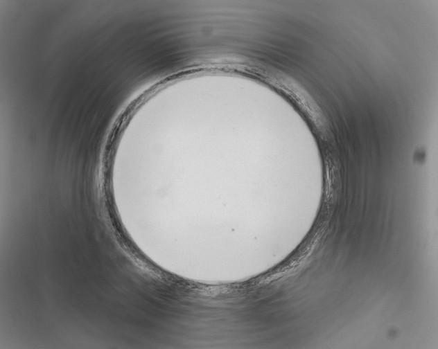 X0000116650780201001251156