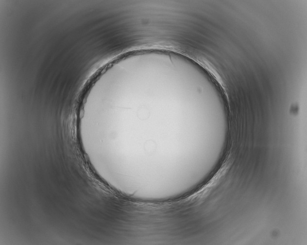 X0000116650781201001251156