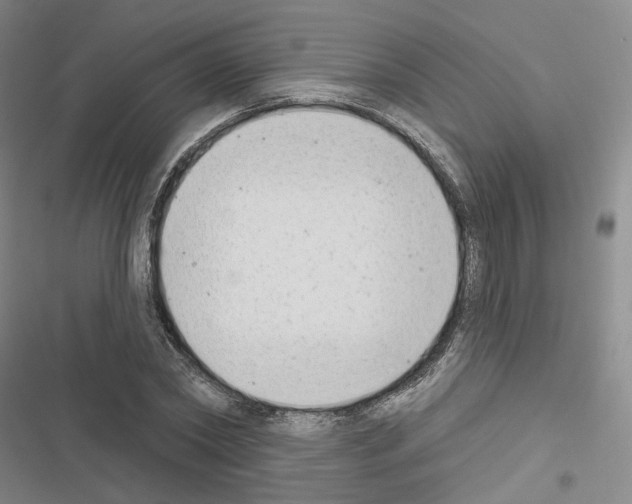 X0000116650782201001251156
