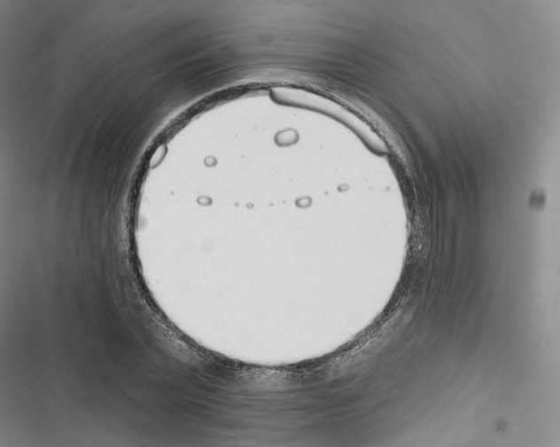 X0000116650783201001251156