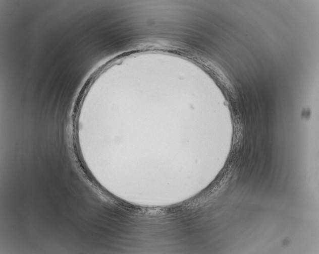 X0000116650784201001251156