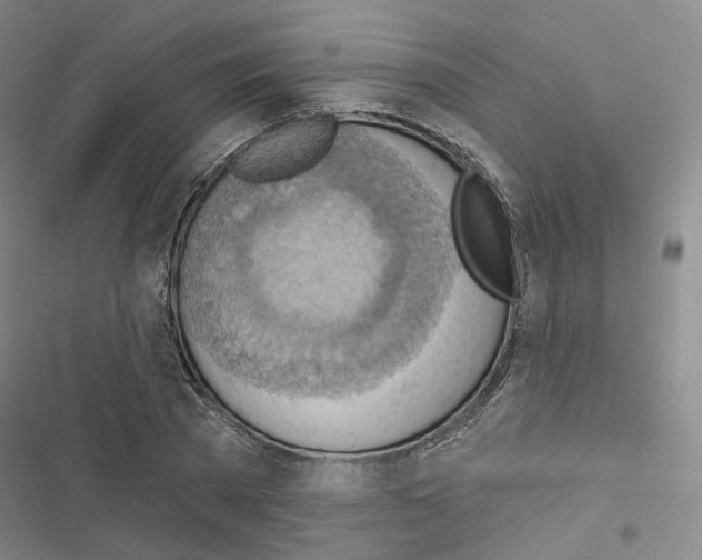 X0000116650785201001251156