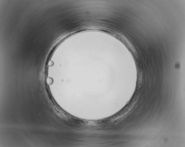 X0000116650787201001251156